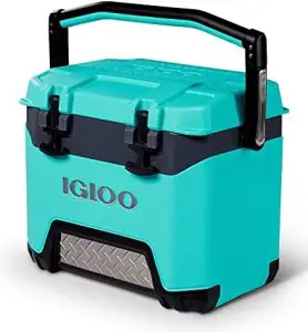 teal and black Igloo camping cooler