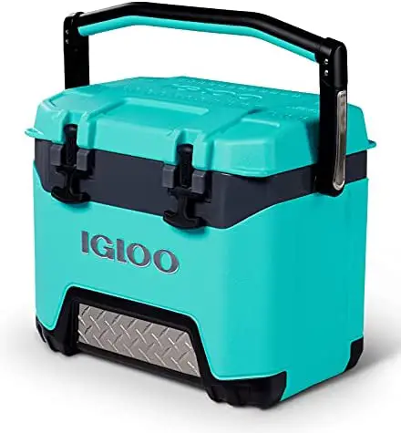 teal and black Igloo camping cooler