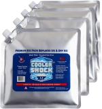 Cooler Shock Reusable Ice Pack